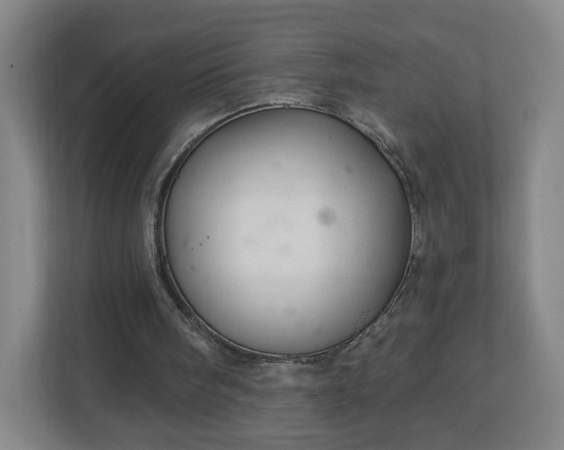 X0000113120098200909041314