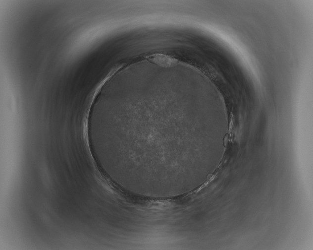 X0000113120099200909041314