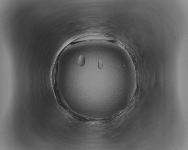 X0000113120100200909041314