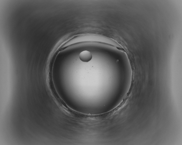 X0000113120101200909041314