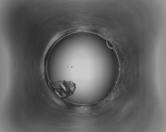 X0000113120102200909041314