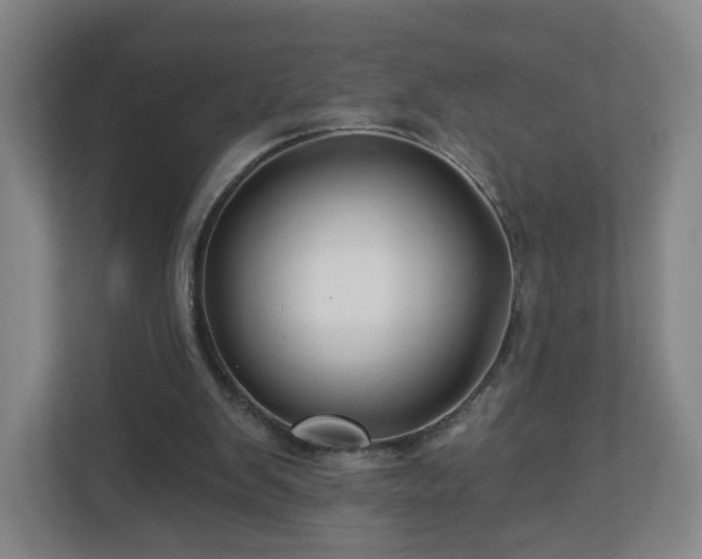 X0000113120103200909041314