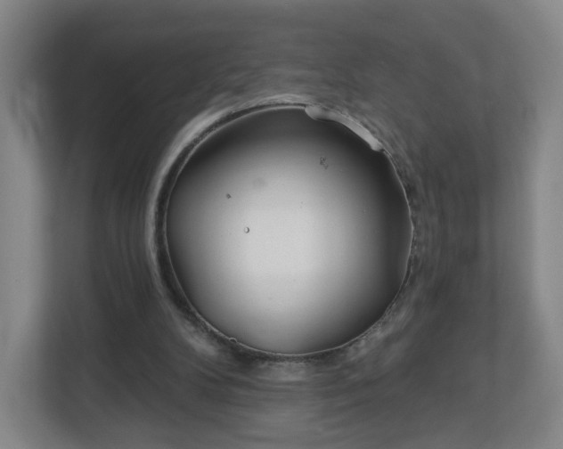 X0000113120104200909041314