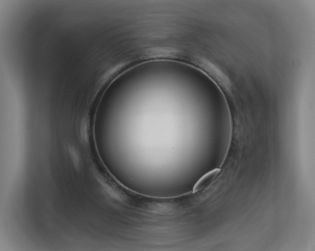 X0000113120107200909041314