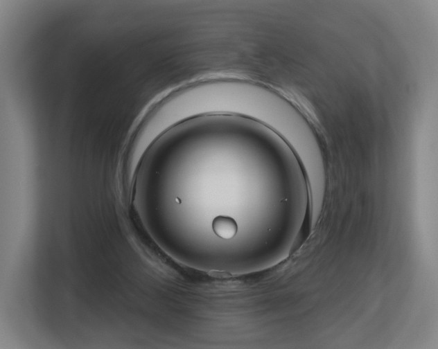 X0000113120108200909041314