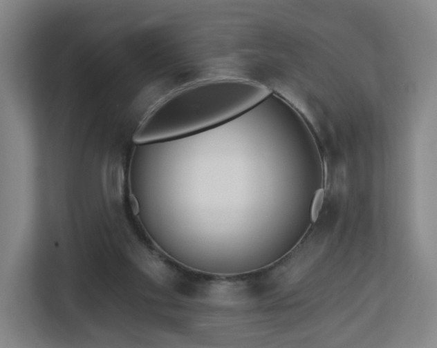 X0000113120109200909041314