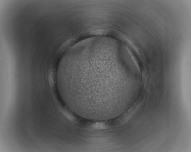 X0000113120114200909041314