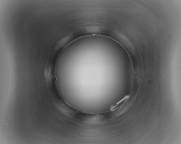 X0000113120116200909041314