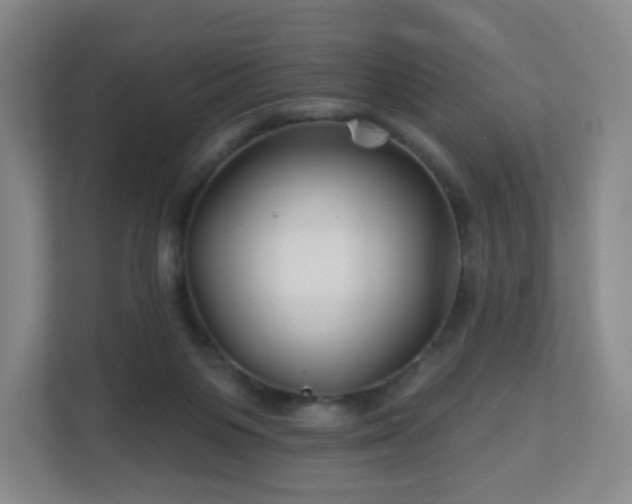 X0000113120119200909041314