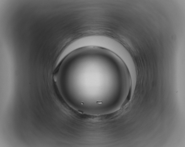 X0000113120120200909041314