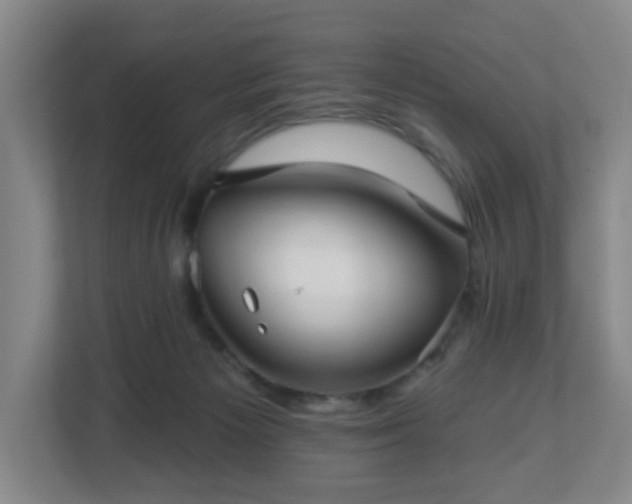 X0000113120125200909041314