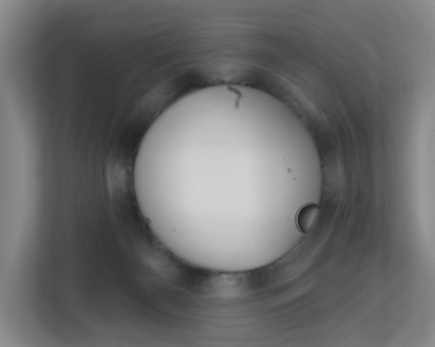 X0000113120126200909041313