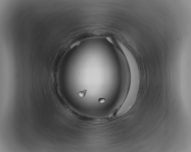 X0000113120128200909041313