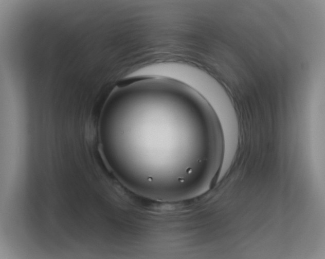 X0000113120129200909041313