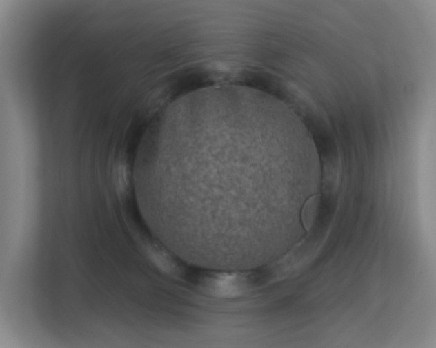 X0000113120130200909041313