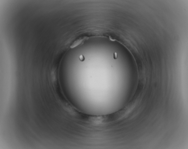 X0000113120131200909041313