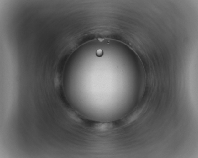 X0000113120135200909041313