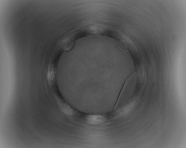 X0000113120137200909041313