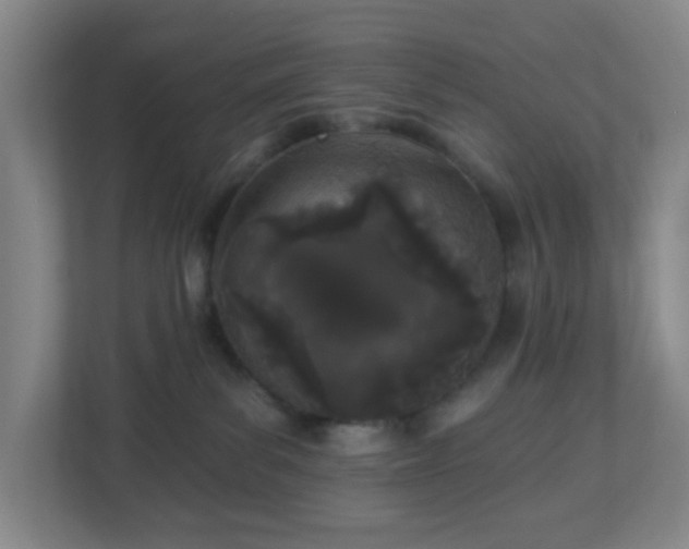 X0000113120139200909041313