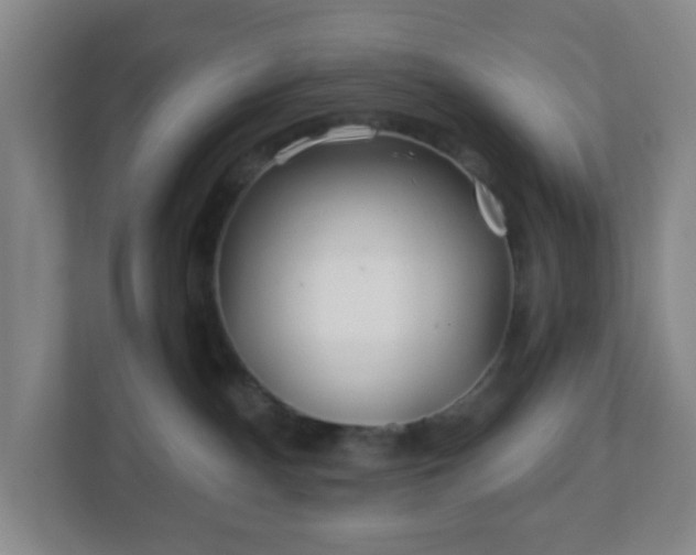 X0000113120140200909041313