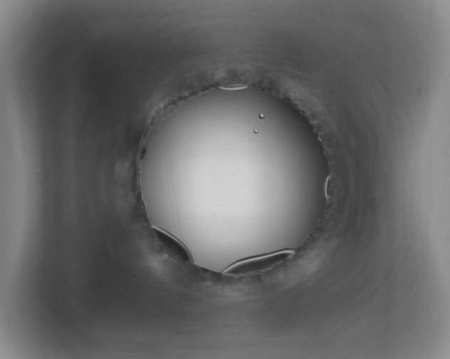 X0000113120144200909041313