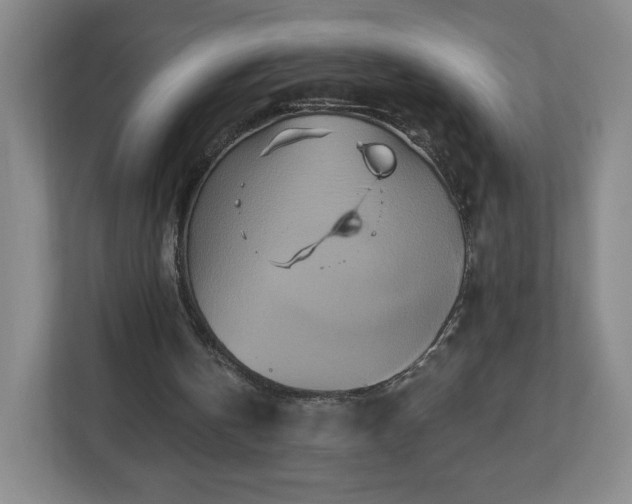 X0000113120146200909041313