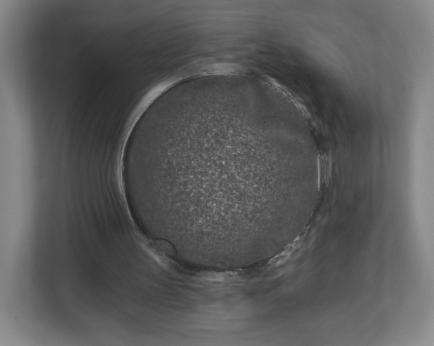 X0000113120147200909041313