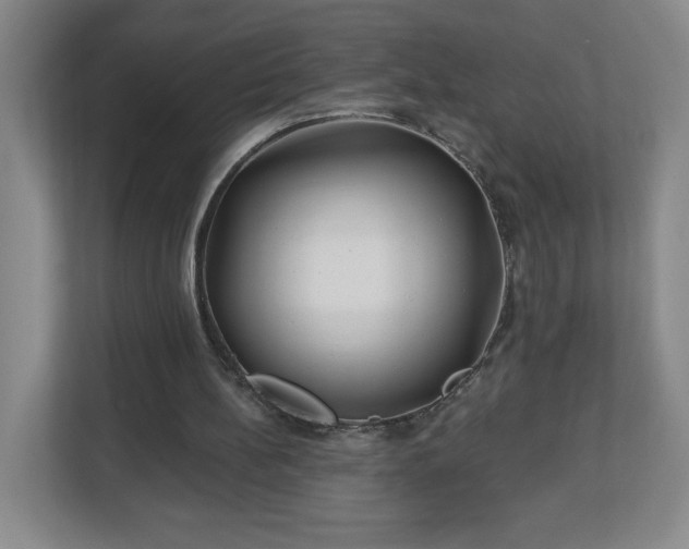 X0000113120148200909041313