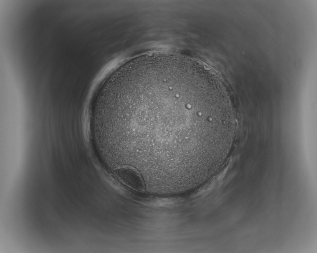 X0000113120149200909041313