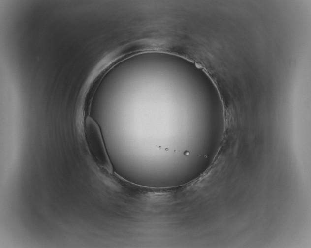 X0000113120150200909041313