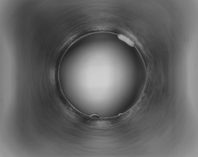 X0000113120154200909041313