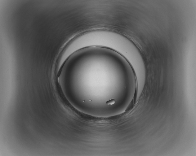 X0000113120156200909041313