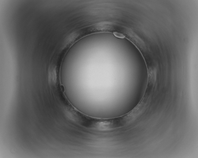 X0000113120158200909041313