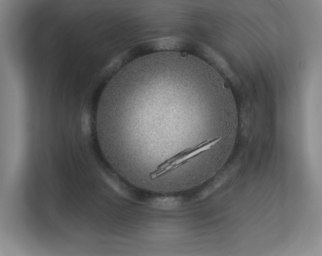 X0000113120161200909041313