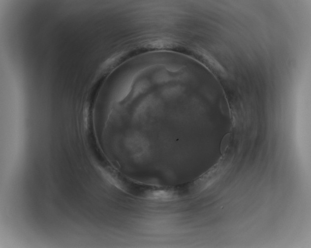 X0000113120163200909041313