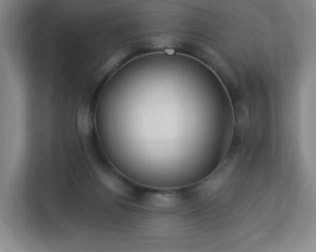 X0000113120164200909041313