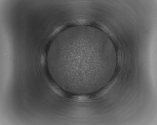 X0000113120165200909041313