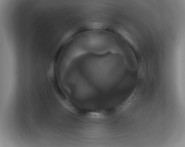 X0000113120167200909041313