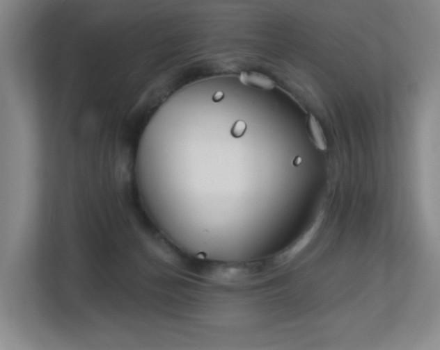 X0000113120174200909041313