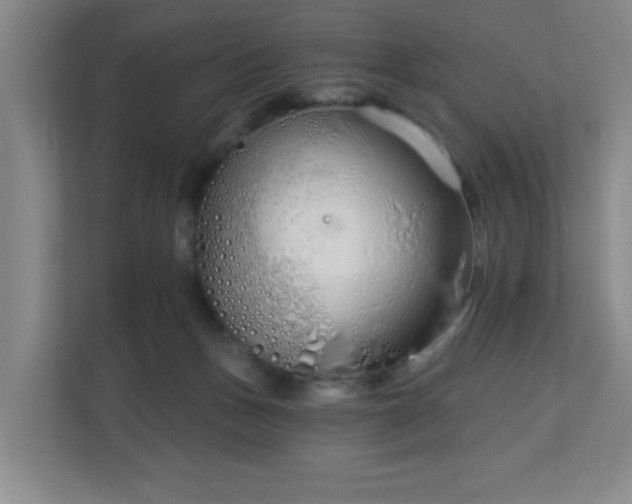 X0000113120175200909041313