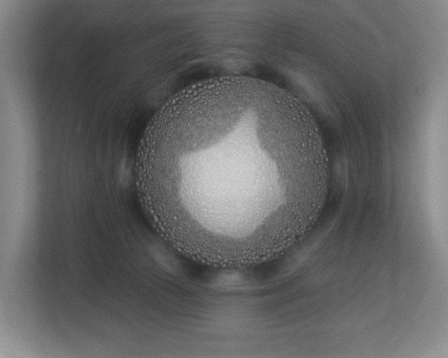 X0000113120177200909041313