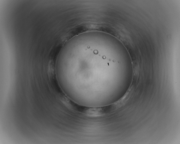 X0000113120179200909041313