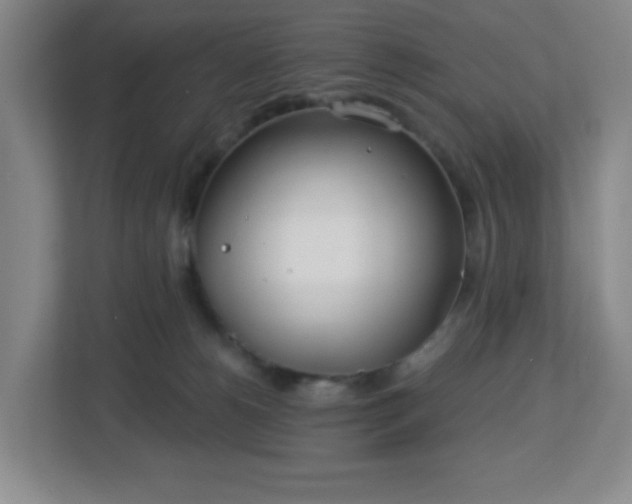 X0000113120180200909041313