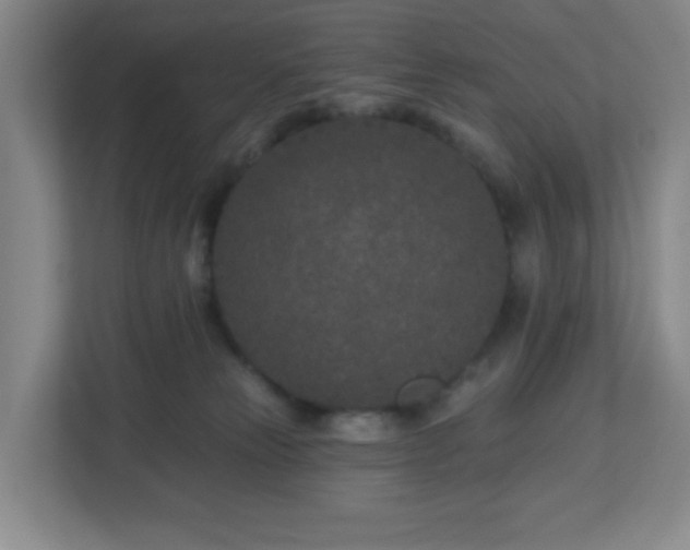 X0000113120181200909041313