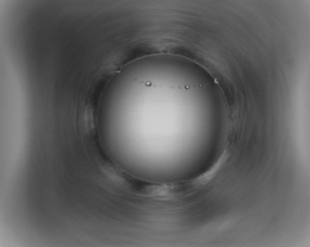 X0000113120182200909041313