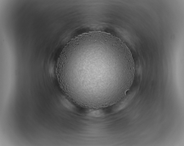 X0000113120185200909041313