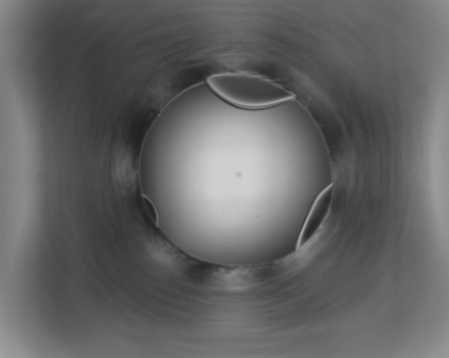 X0000113120186200909041313