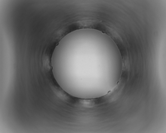 X0000113120187200909041313