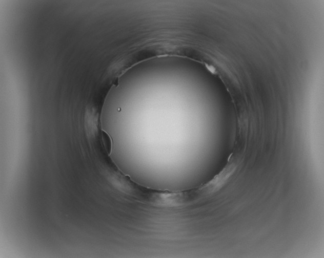 X0000113120188200909041313