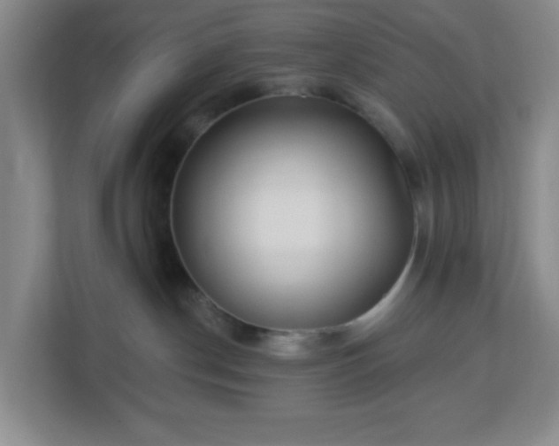 X0000113120190200909041313